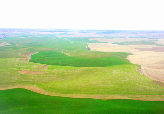 Palouse landscape.JPG